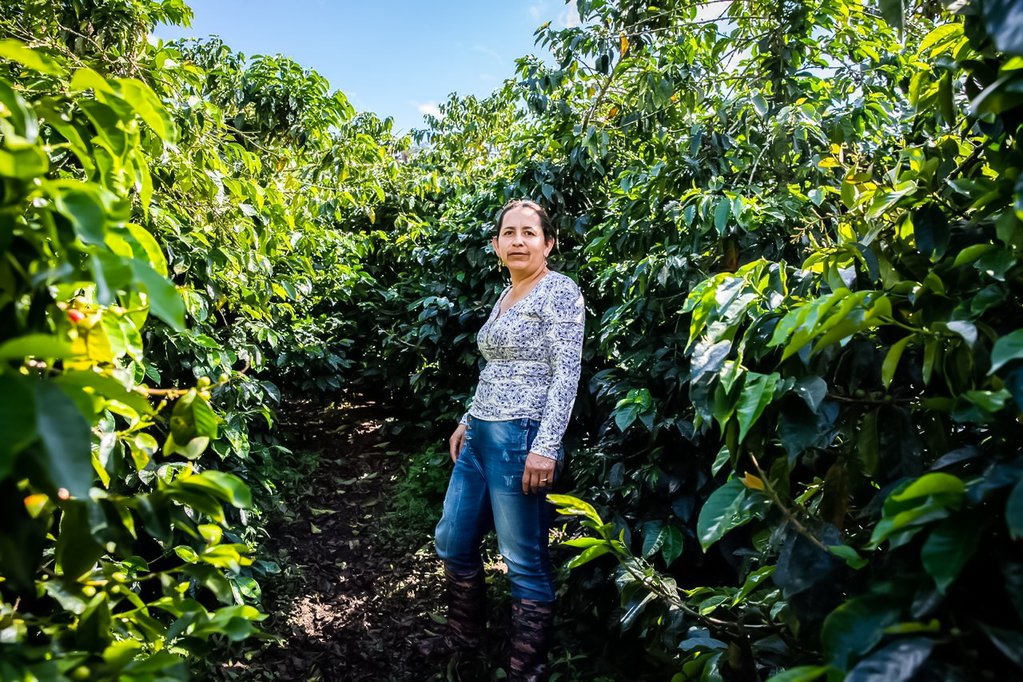 Women in Coffee ‧ Luz Dary Polo