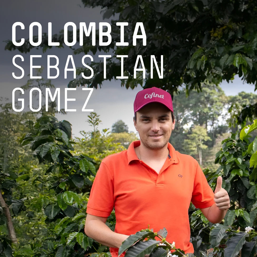 Colombia, Sebastian Gomez - Single Origin Filter