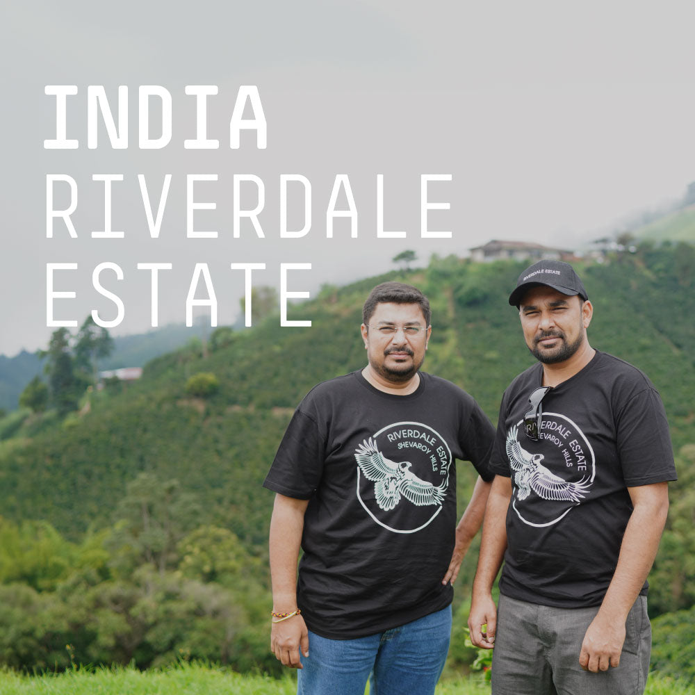 India Riverdale Estate - Single Origin Filter