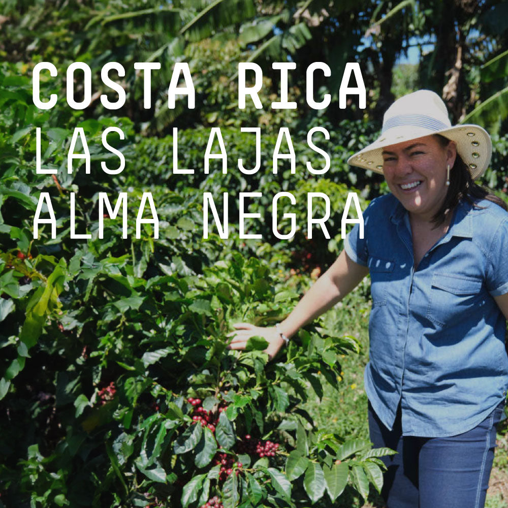 Costa Rica Las Lajas Alma Negra - Single Origin Espresso
