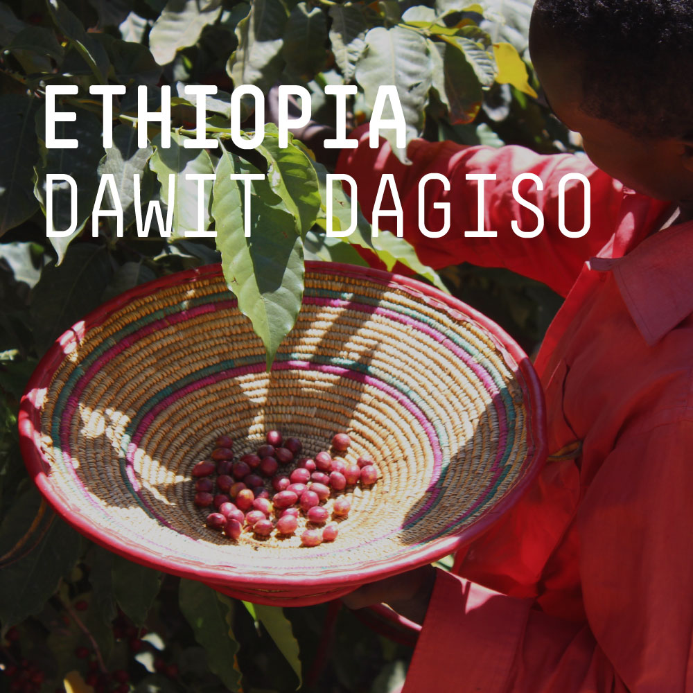 Ethiopia, Dawit Dagiso - Single Origin Espresso