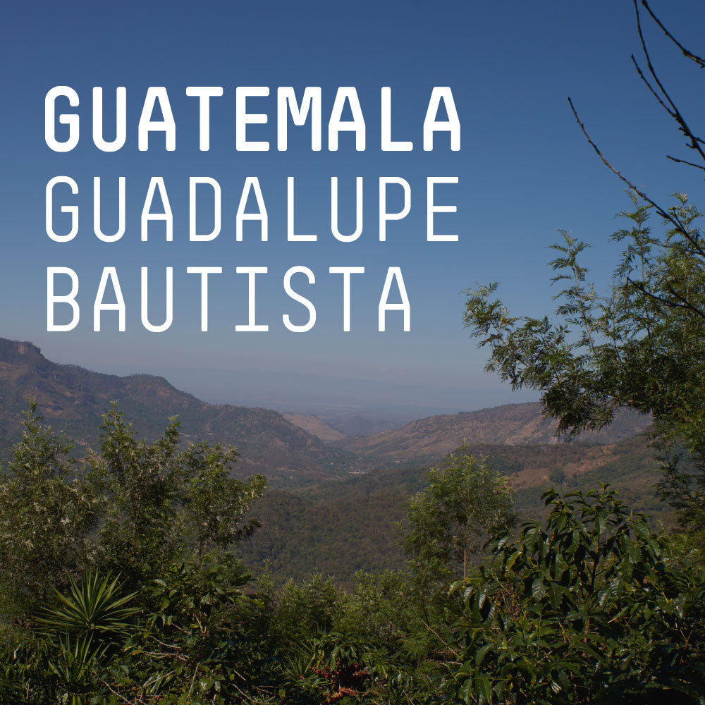 Guatemala, Guadalupe Bautista – Single Origin Espresso