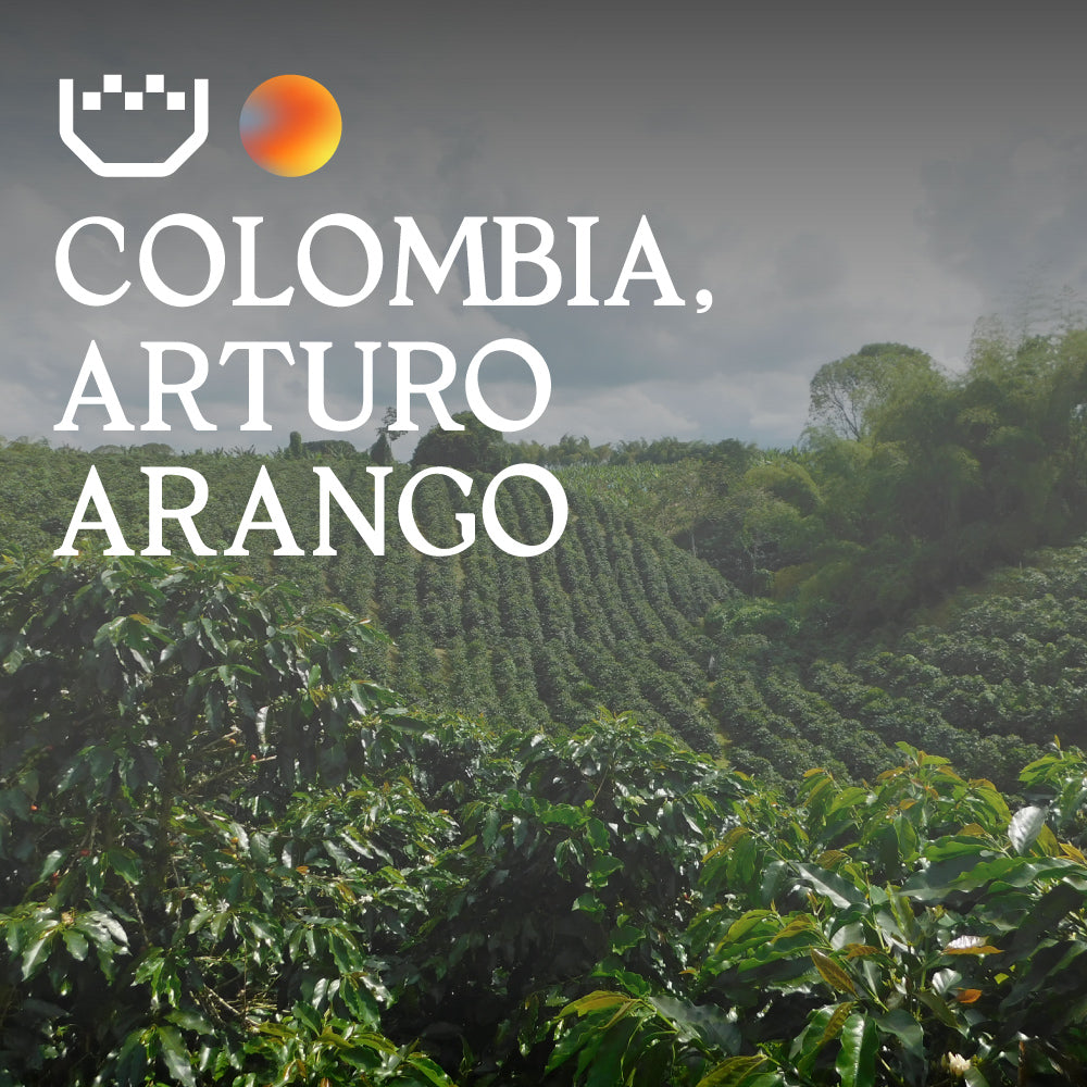 Colombia Arturo Arango Espresso — image 1