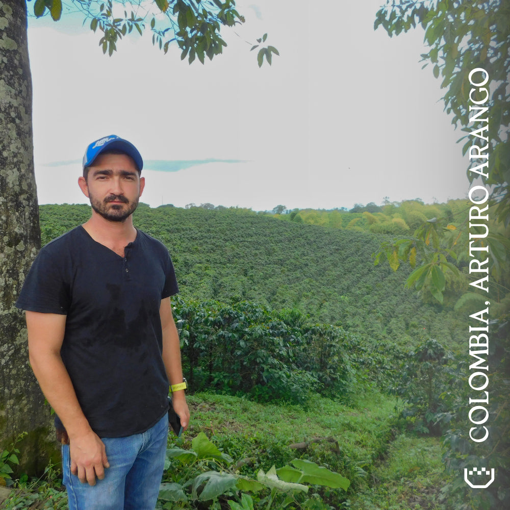 Colombia, Arturo Arango - Single Origin Espresso