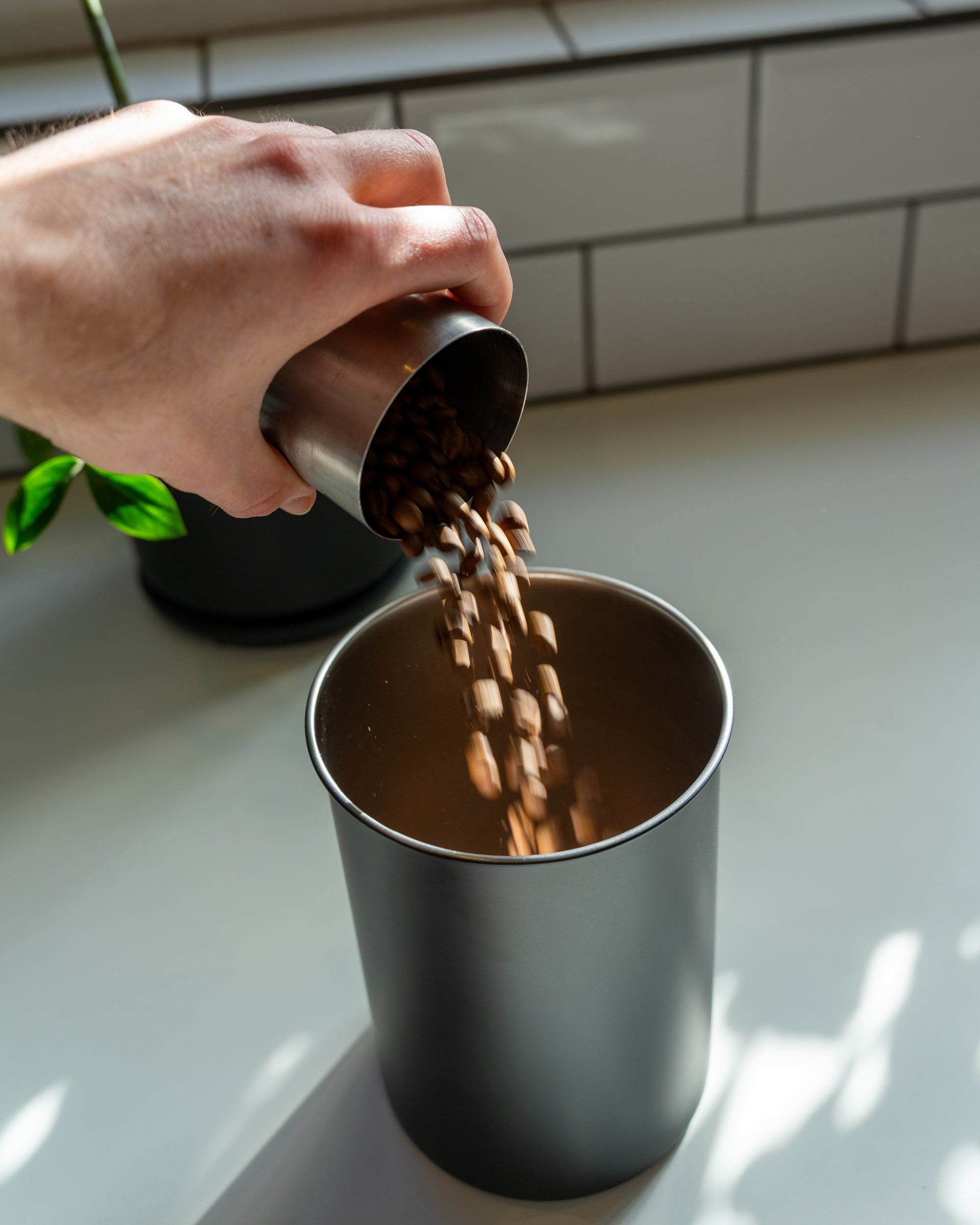 Airscape® Coffee Canister – Classic (Medium, Matte Black)