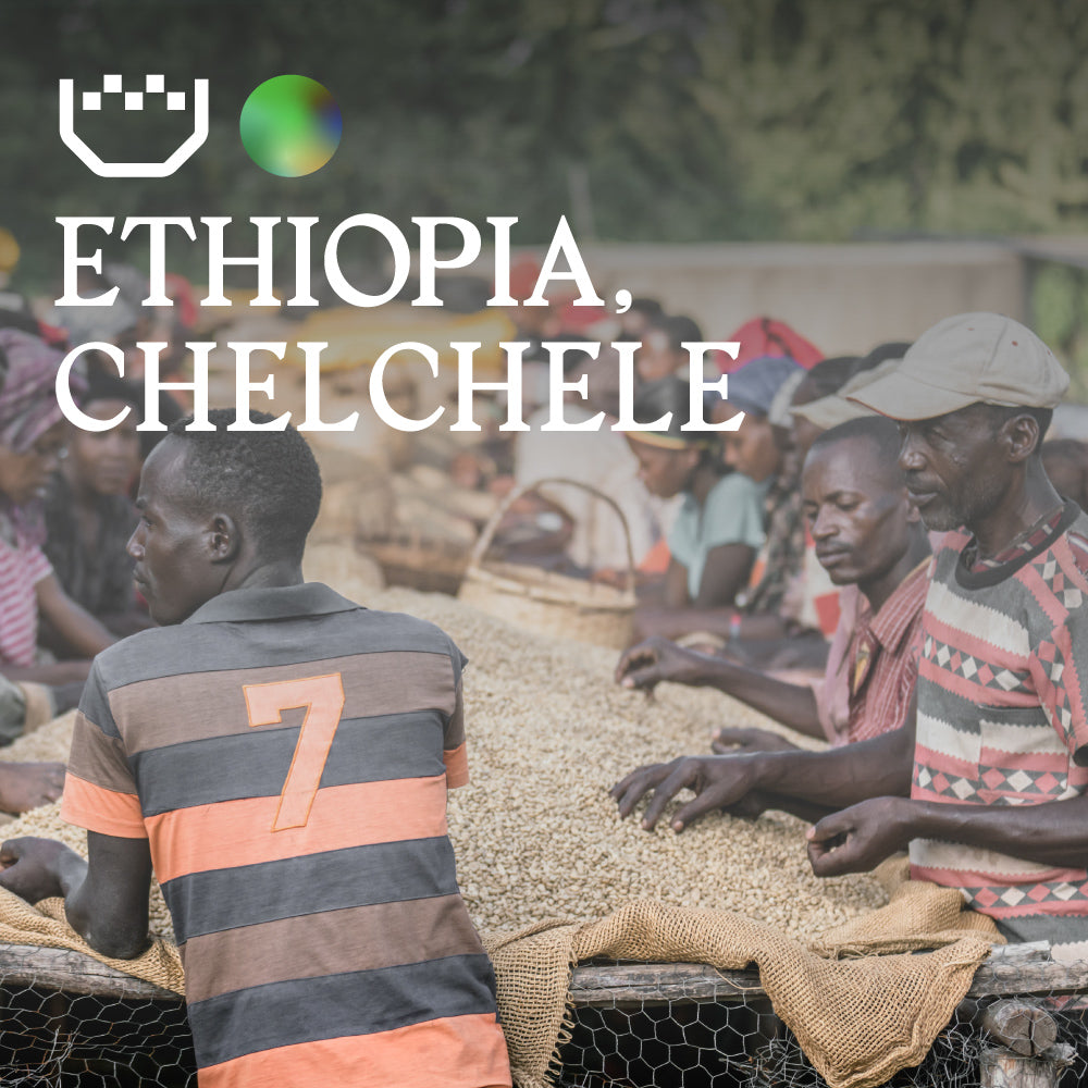 A documentary-style photograph of workers processing beans in Ethiopia, with large white text overlay reading 'ETHIOPIA, CHELCHELE' and a small green circular graphic near the top left.