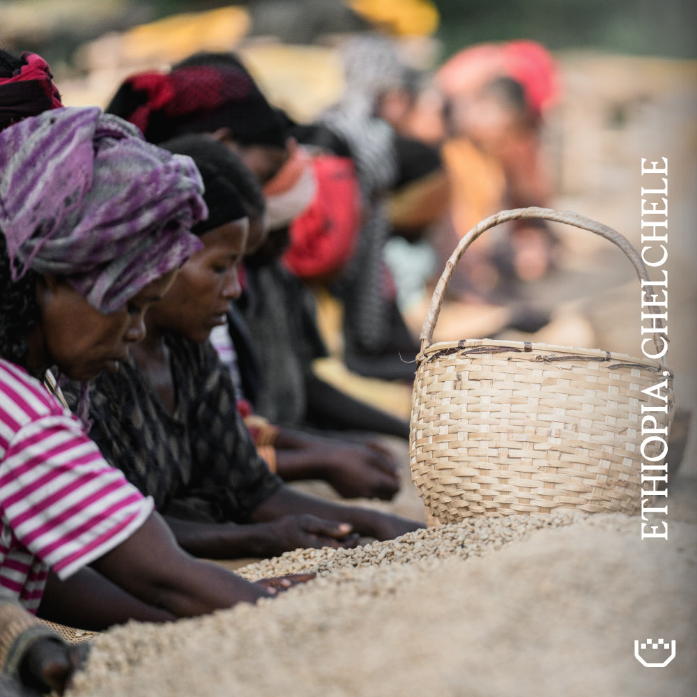 Ethiopia Chelchele Espresso — image 3