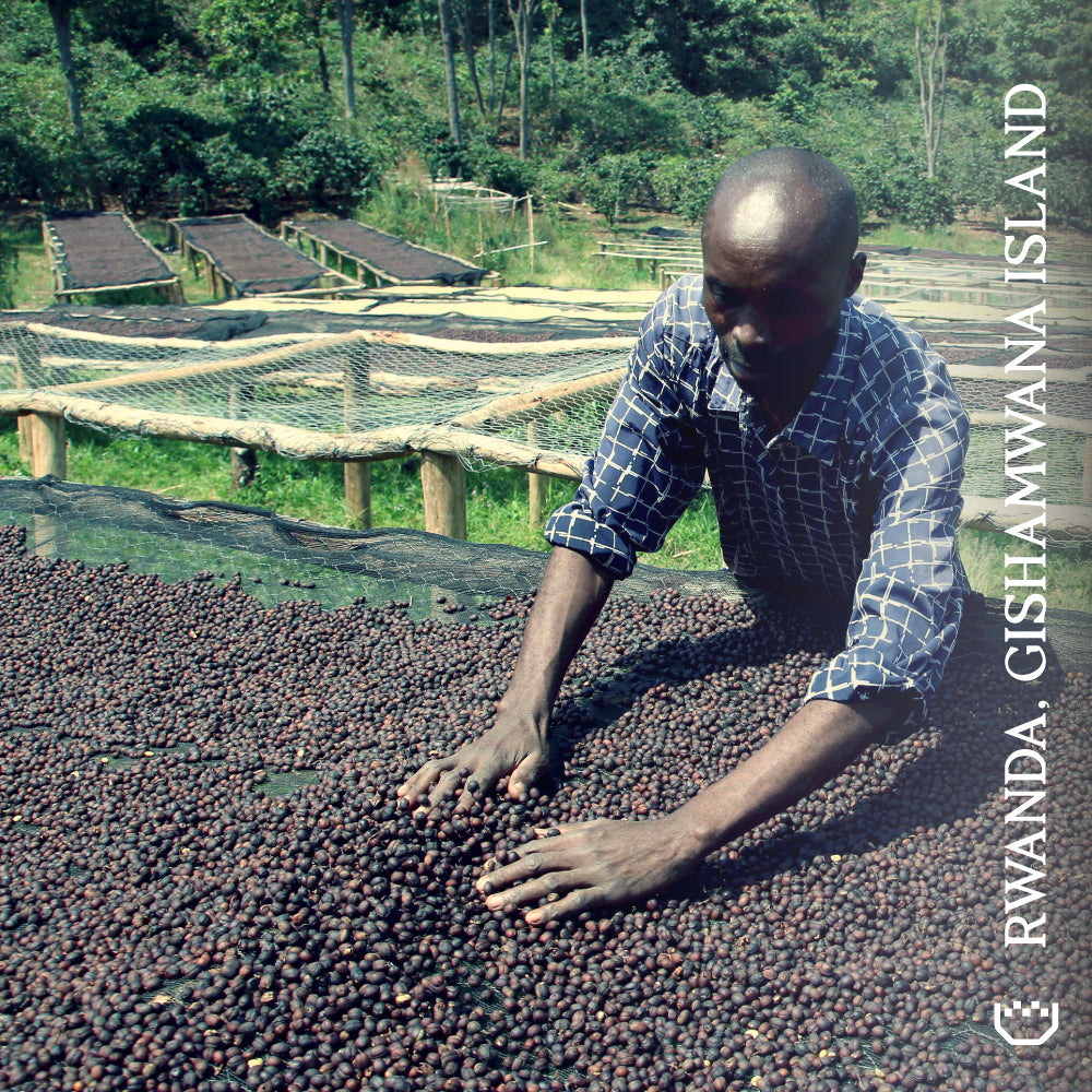 Rwanda Gishamwana Island - Single Origin Espresso