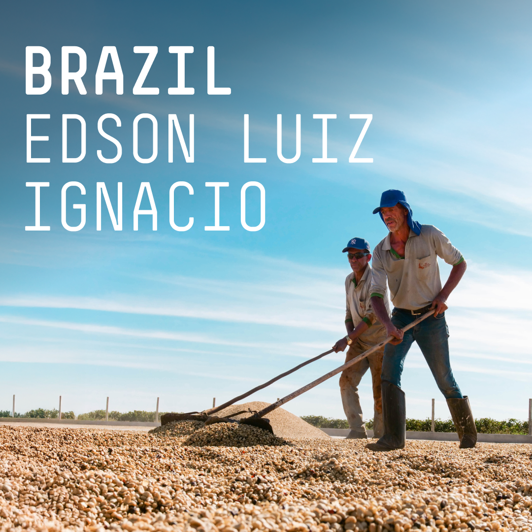 Brazil, Edson Luiz Ignacio - Single Origin Espresso