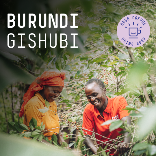 Burundi, Gishubi - Single Origin Espresso