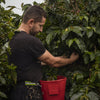 Limited Edition Colombia, Jhonatan Gasca - Single Origin Filter
