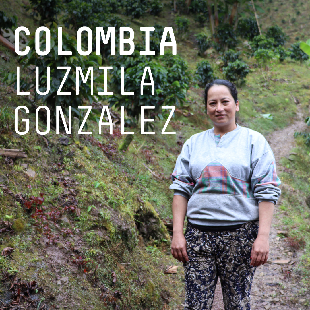 Colombia, Luzmila Gonzalez - Single Origin Filter