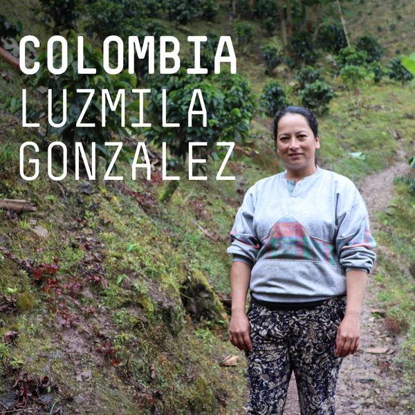 Colombia, Luzmila Gonzalez - Single Origin Espresso