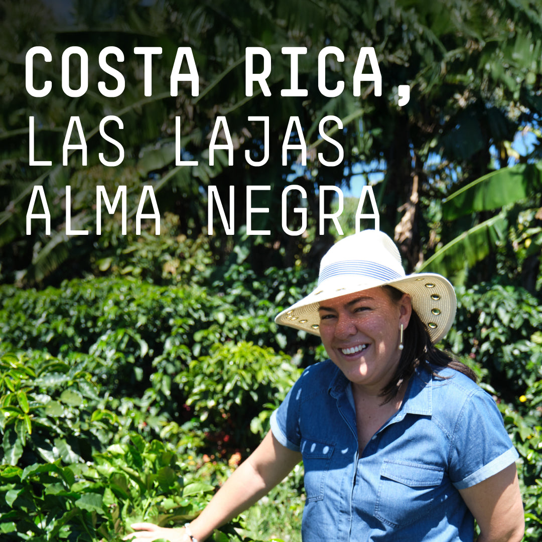 Costa Rica, Las Lajas Alma Negra - Single Origin Filter