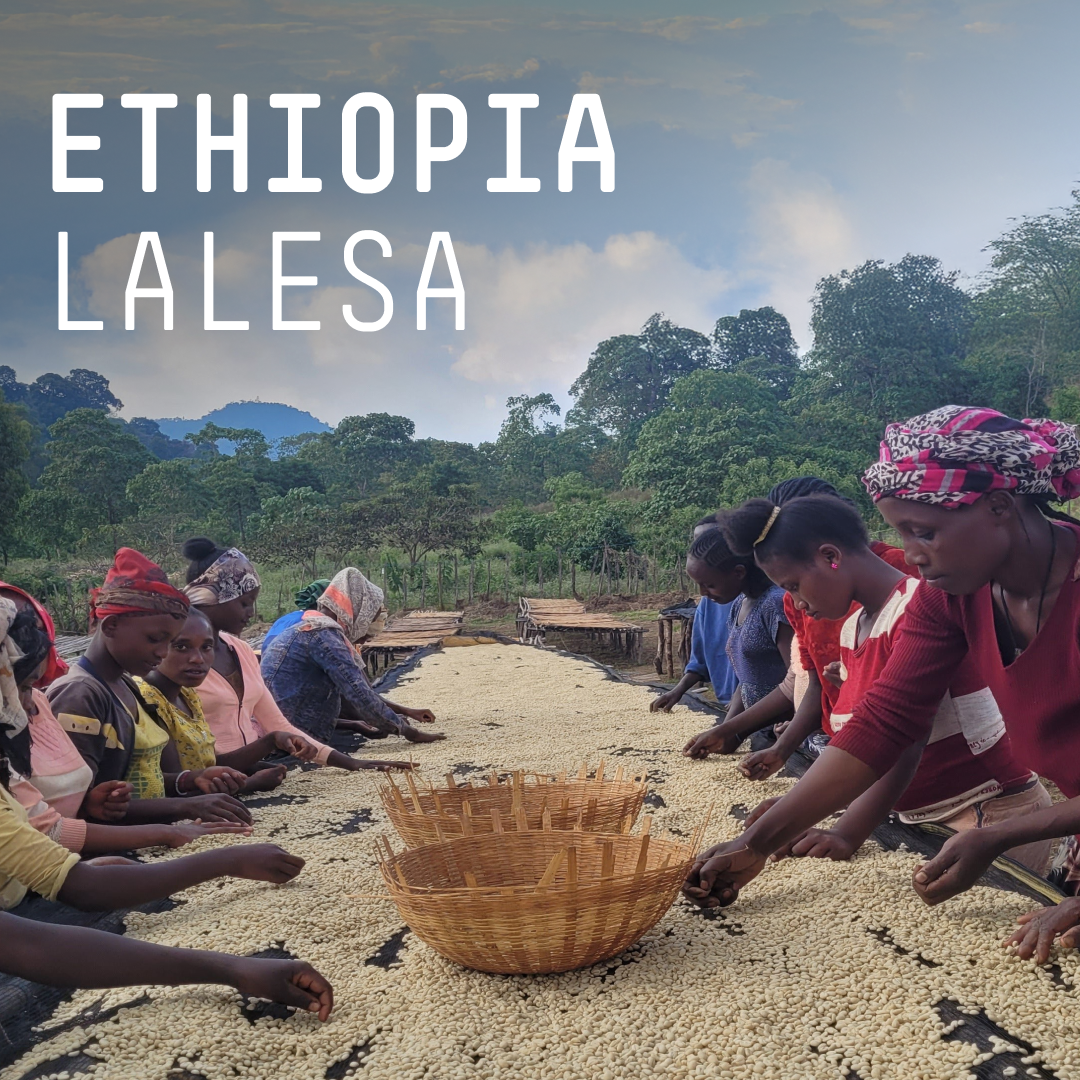 Ethiopia, Lalesa  - Single Origin Espresso