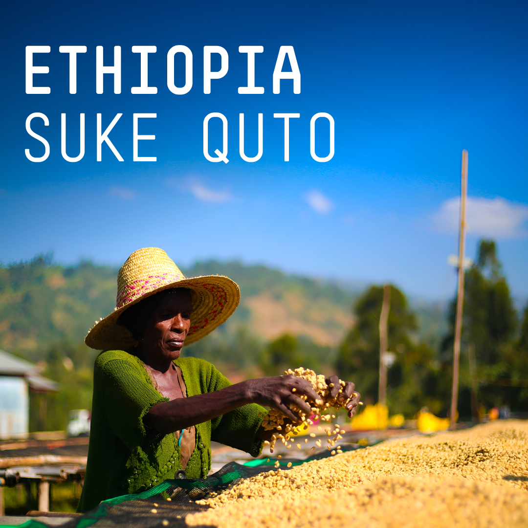 Ethiopia, Suke Quto - Single Origin Espresso