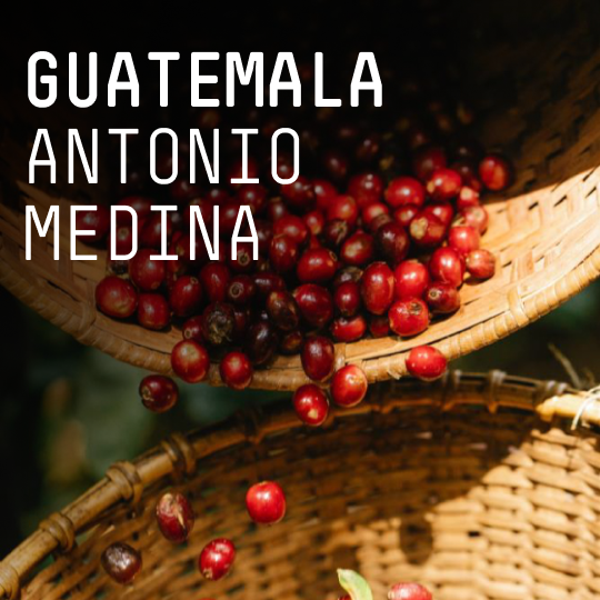 Guatemala, Antonio Medina - Single Origin Espresso