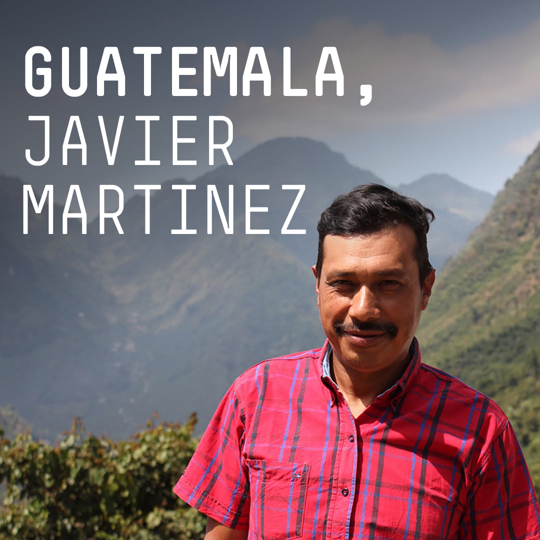 Guatemala, Javier Martinez - Single Origin Filter