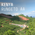 Kenya, Rungeto AA - Single Origin Espresso