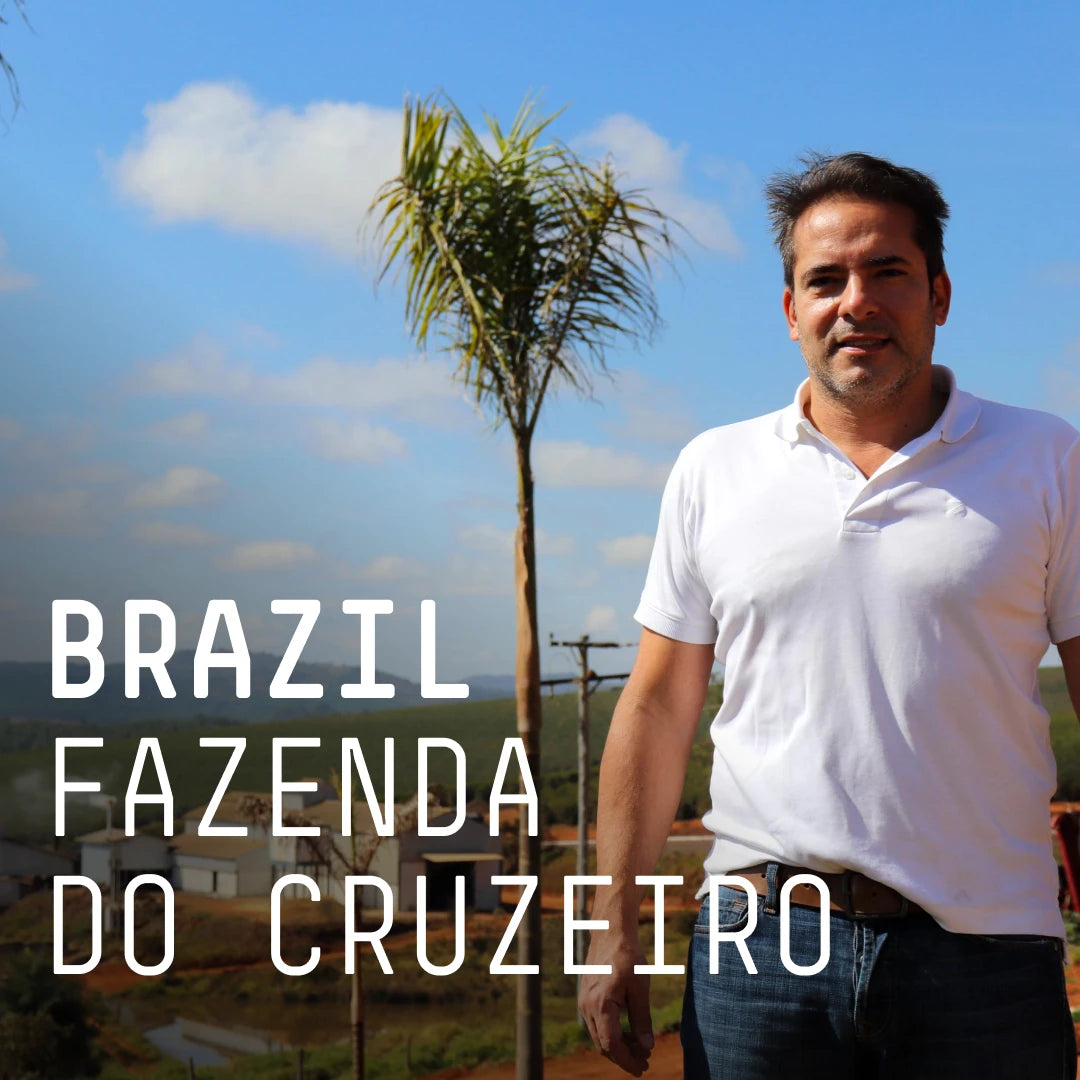 Brazil, Fazenda do Cruzeiro - Single Origin Espresso