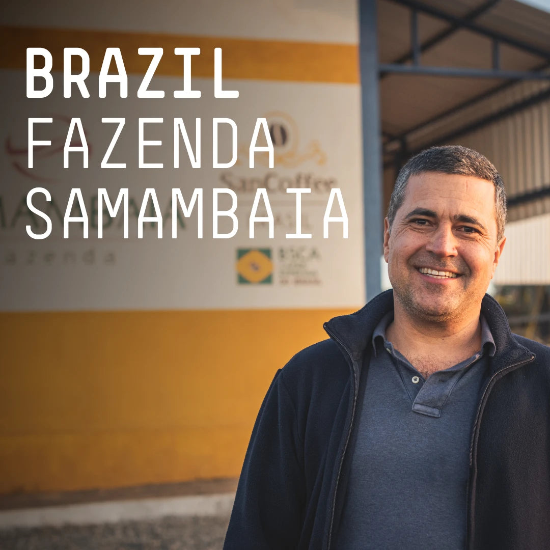 Brazil, Fazenda Samambaia - Single Origin Espresso
