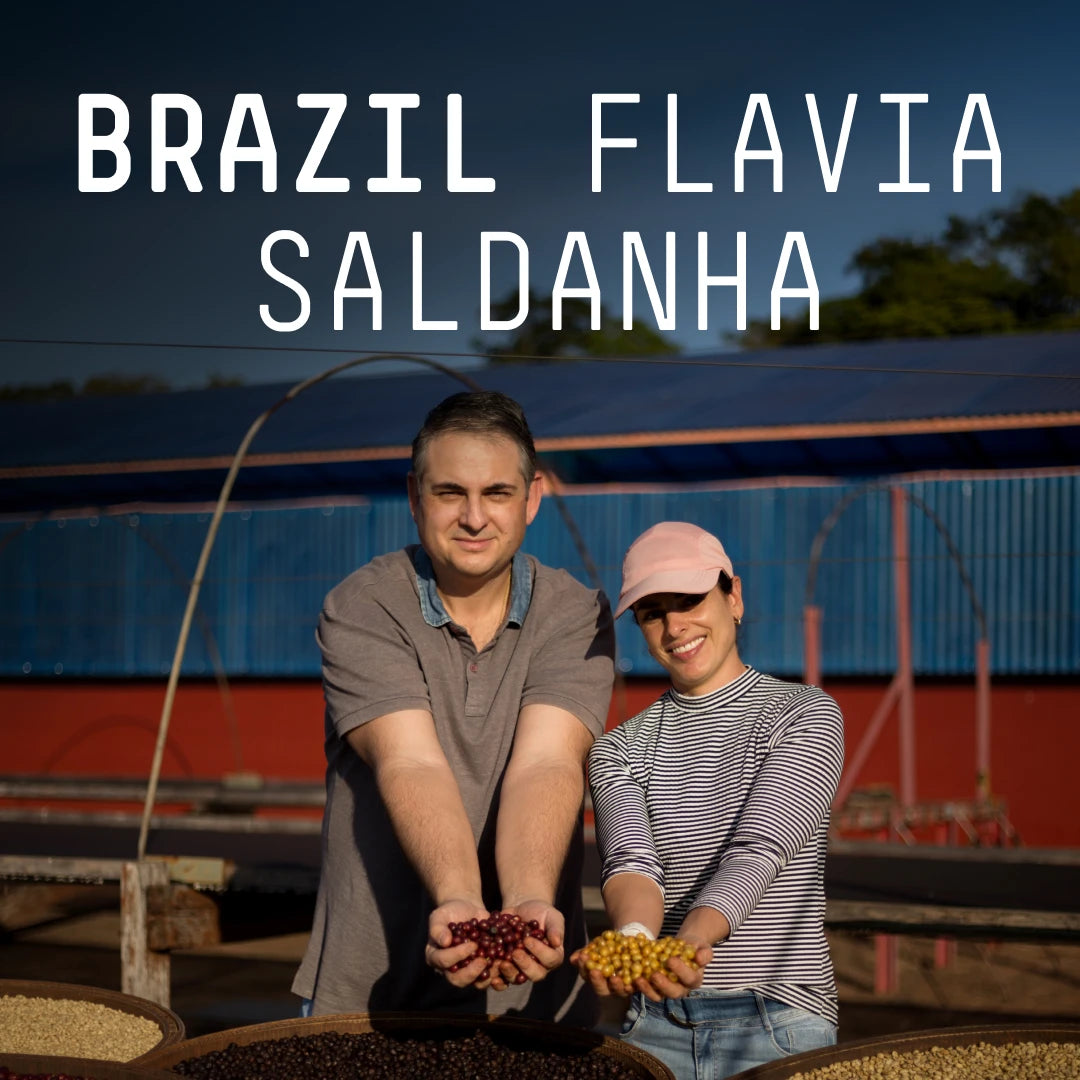 Brazil, Flavia Saldanha - Single Origin Espresso