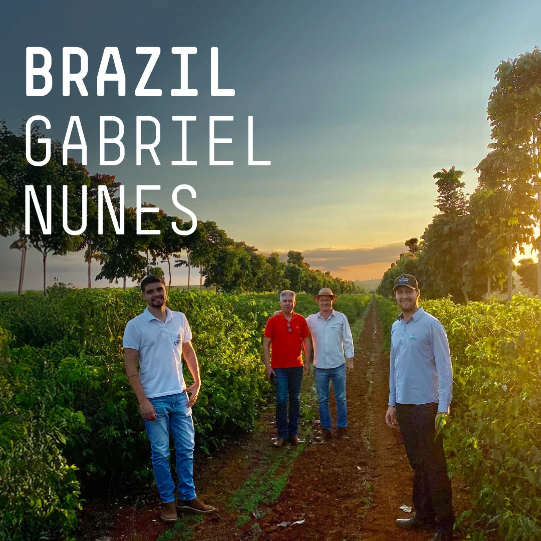 Photo of Brazil Gabriel Nunes - Single Origin Filter