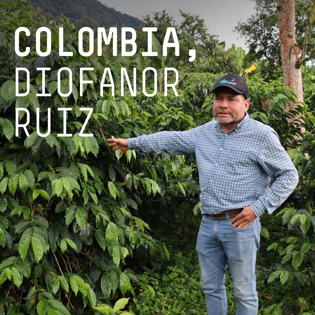Colombia, Diofanor Ruiz  - Single Origin Espresso