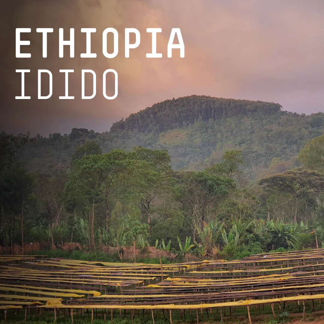 Ethiopia, Idido - Single Origin Espresso