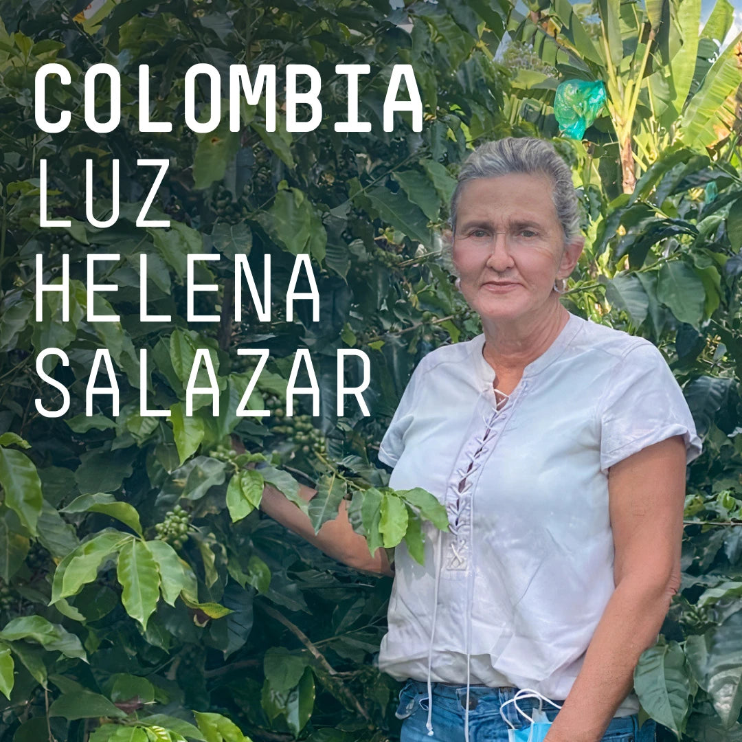 Photo of Colombia Luz Helena - Single Origin Filter