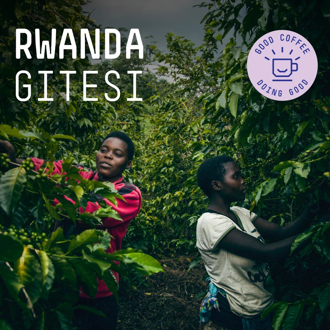 Rwanda, Gitesi - Single Origin Espresso