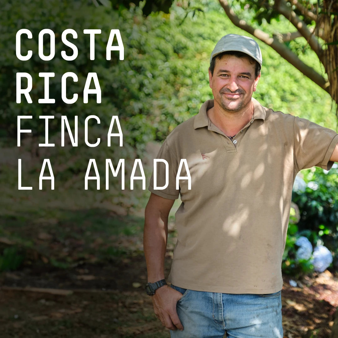 Costa Rica Finca La Amada - Single Origin Espresso