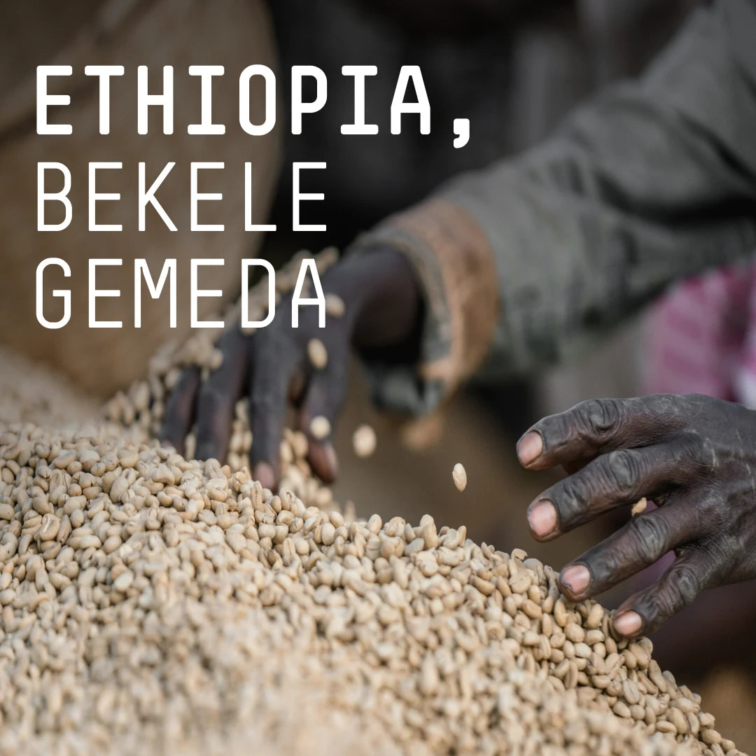 Ethiopia, Bekele Gemeda - Single Origin Espresso