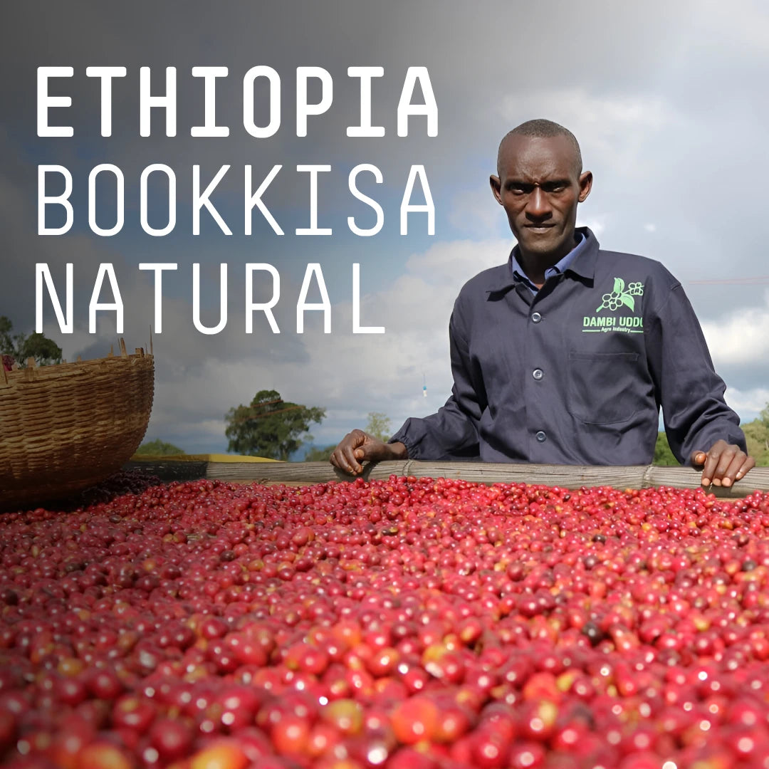 Ethiopia, Bookkisa  - Single Origin Espresso