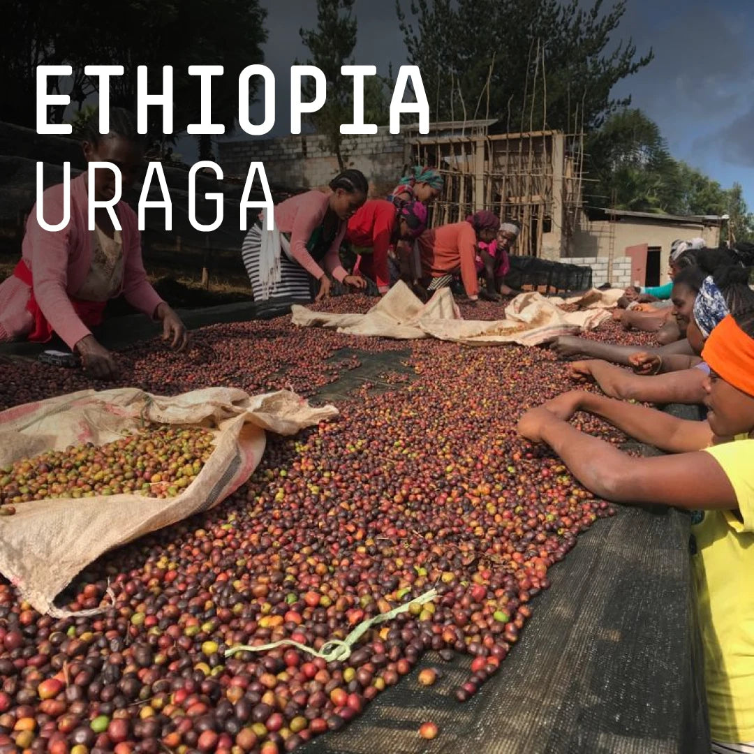 Ethiopia, Uraga - Single Origin Espresso