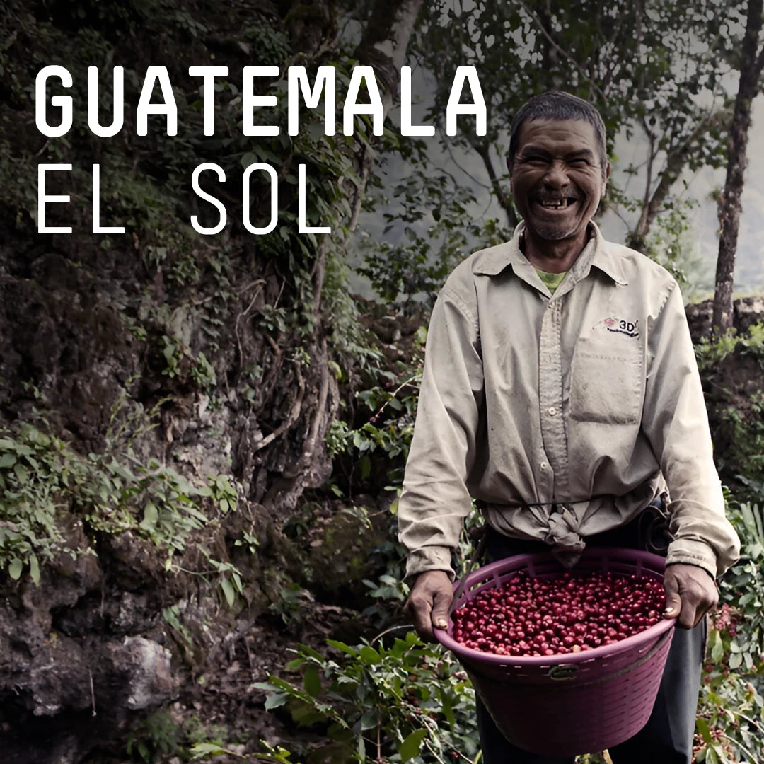 Guatemala, El Sol  - Single Origin Espresso