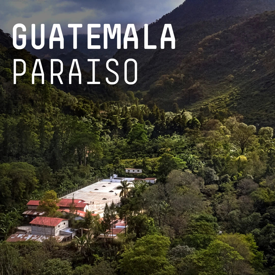 Photo of Guatemala Paraiso - Single Origin Espresso