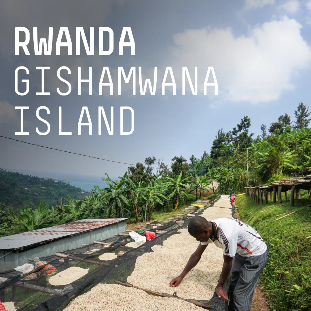 Photo of Rwanda Gishamwana Island - Single Origin Filter - 250g / Whole Beans