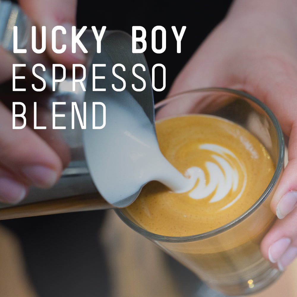 Lucky Boy Espresso Blend Office