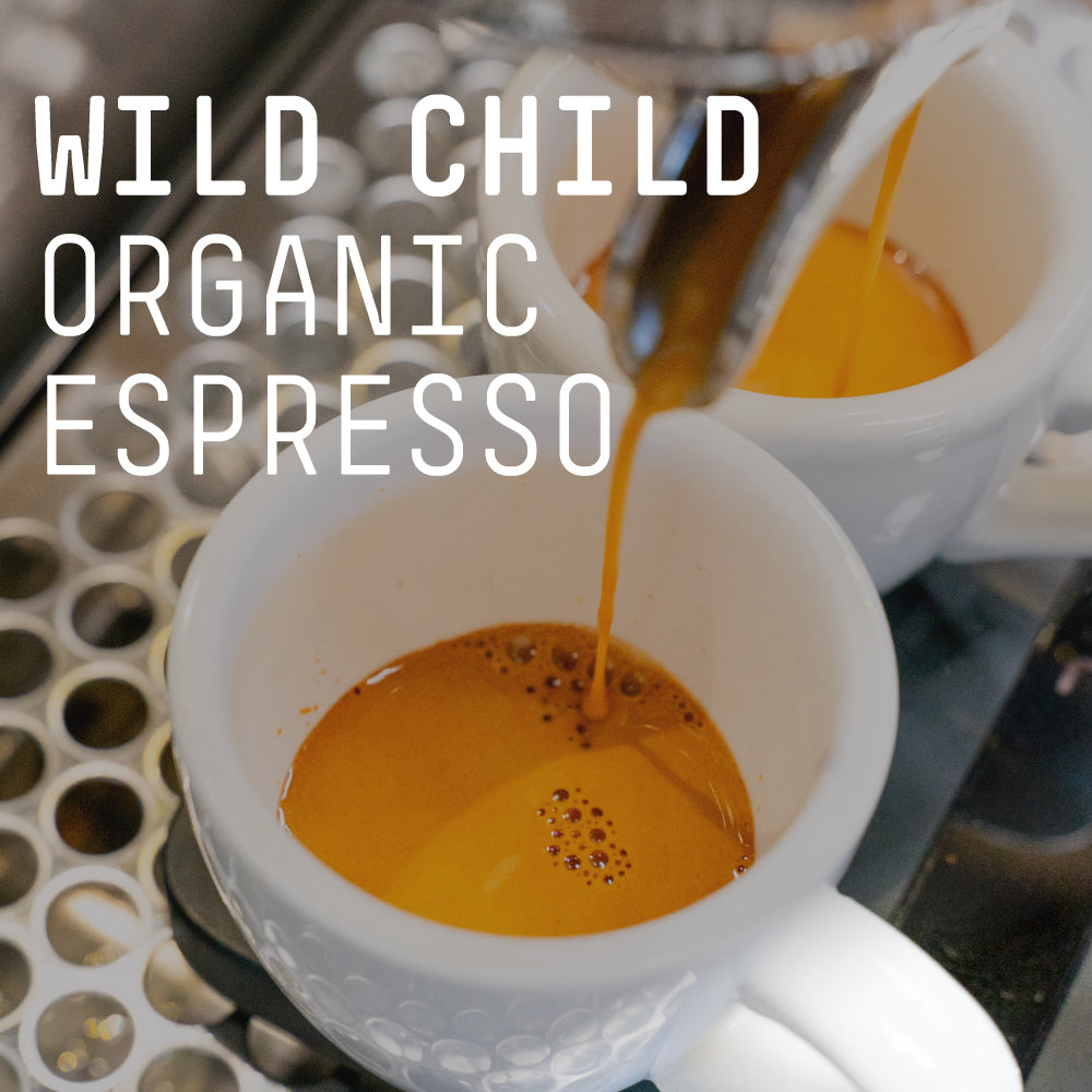 Wild Child Organic Espresso